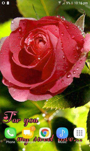 Sweet Rose Live Wallpaper screenshot 2