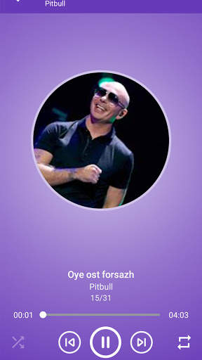 Pitbull Mp3 Musics offline screenshot 1
