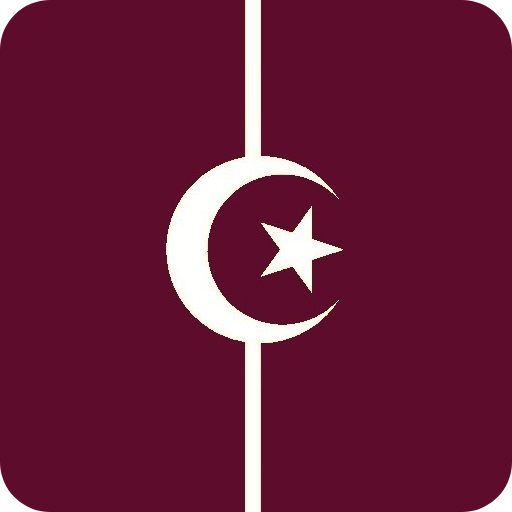 System DZ icon