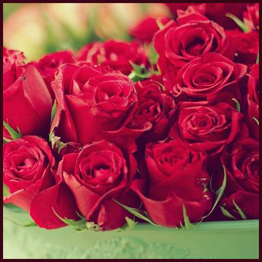 Red Rose Wallpapers 2.6