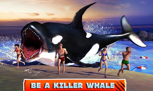 Killer Whale Beach Attack 3D screenshot 1
