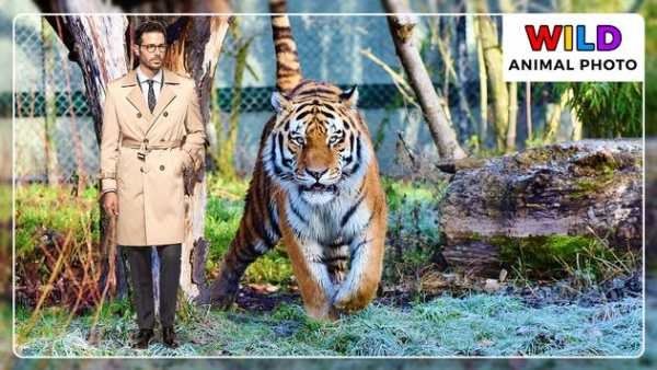 Wild Animal Photo Frames - Photo Editor screenshot 6