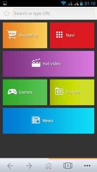 Flash  Browser screenshot 2