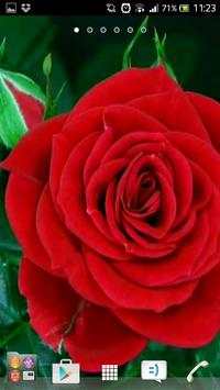 Best rose wallpapers स्क्रीनशॉट 3