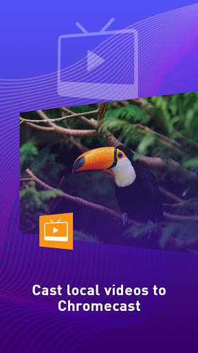 Screen Mirroring, Cast TV for Chromecast screenshot 4