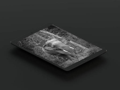 Grey Wallpaper screenshot 11