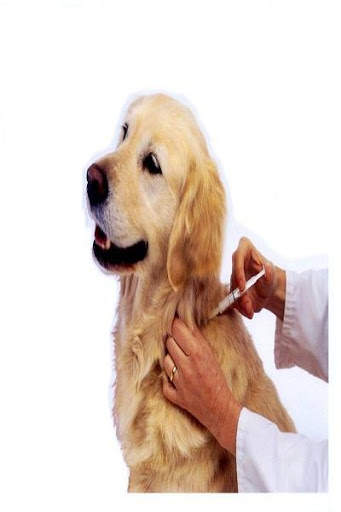 Dog Vaccinations screenshot 1