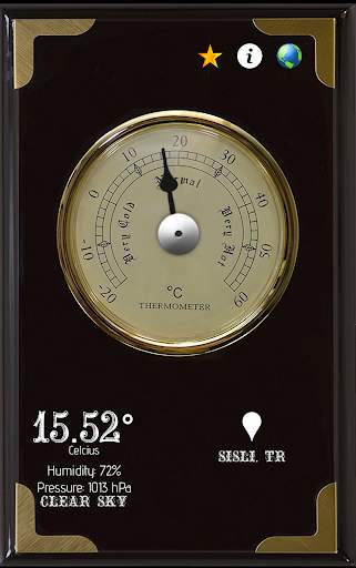 Thermometer Vintage скриншот 4