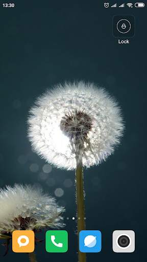 Dandelion Wallpaper HD screenshot 1