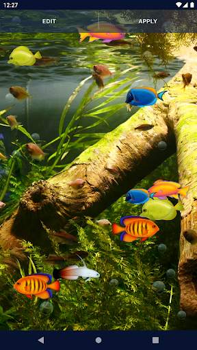 Aquarium Fish Live Wallpaper screenshot 5