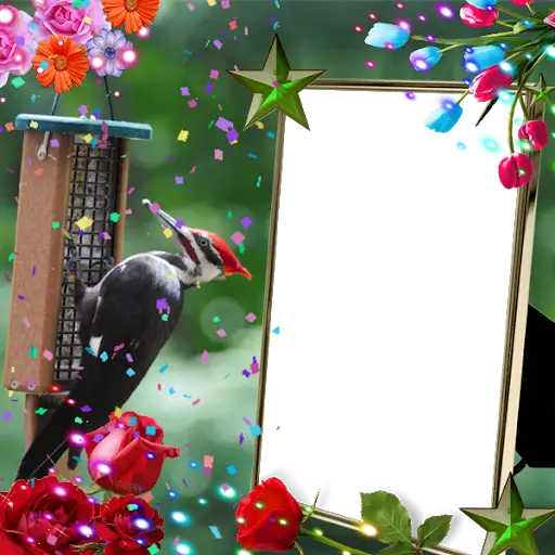 Woodpecker Insta DP screenshot 3