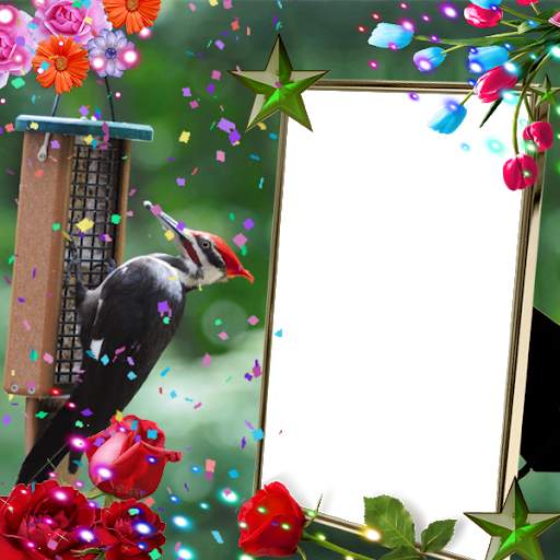 Woodpecker Insta DP 3 تصوير الشاشة