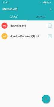 Metashield Clean-up Online App screenshot 2