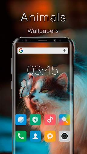 Обои HD - Splash Wallpapers (заставки и фоны) screenshot 2