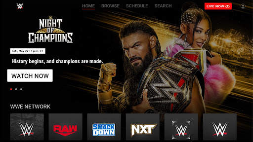 WWE screenshot 3
