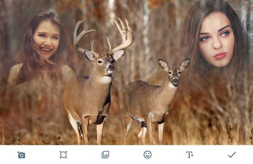 Wild Animal Photo Frames screenshot 1