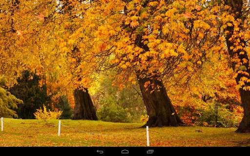 Autumn Wallpaper screenshot 16