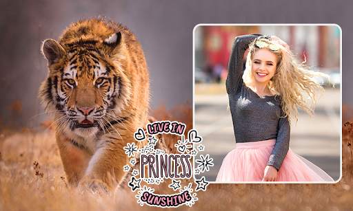 Tiger Photo Frames screenshot 1
