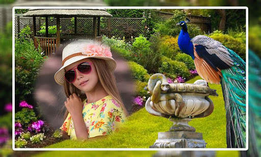 Peacock Photo Frames screenshot 2