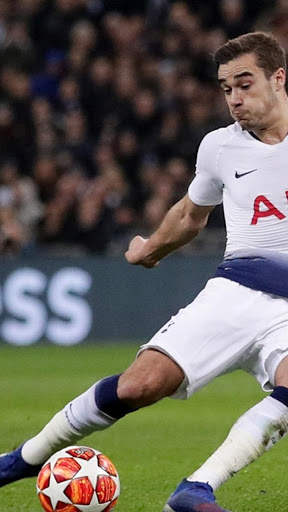 Wallpapers for Tottenham Hotspur screenshot 2