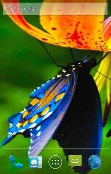 Butterfly Live Wallpaper screenshot 1