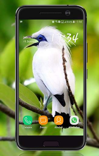 Bird Wallpaper screenshot 5