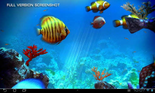 Clownfish Aquarium 3D FREE screenshot 11
