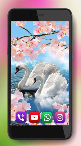 Spring Birds Live Wallpaper स्क्रीनशॉट 4