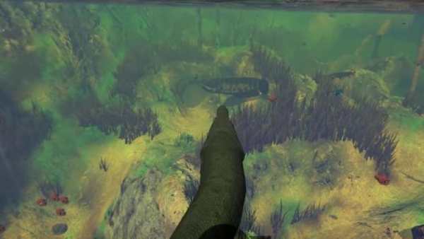 Fish Feed & Shark Grow! Feed Fish: Tips screenshot 3