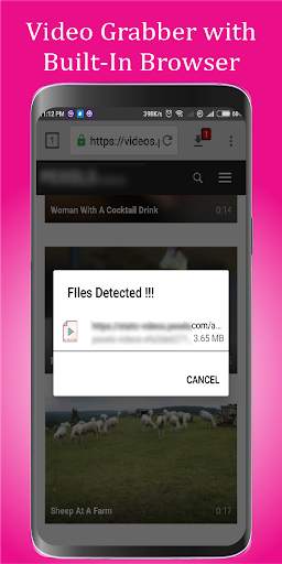 Download Manager screenshot 2