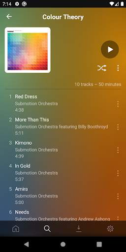 Plexamp screenshot 6