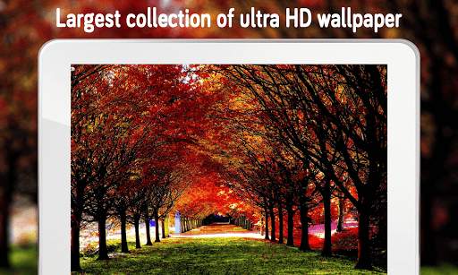 Autumn Wallpaper (4k) screenshot 7