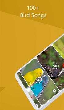 Bird call screenshot 1
