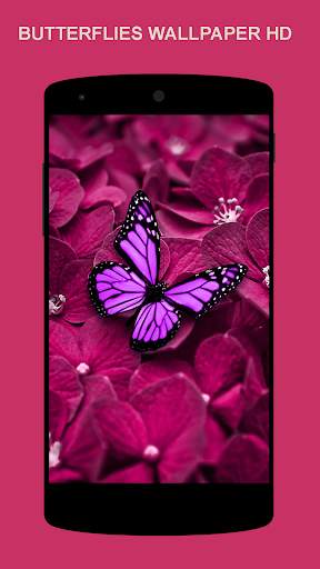 Schmetterling Wallpaper screenshot 4