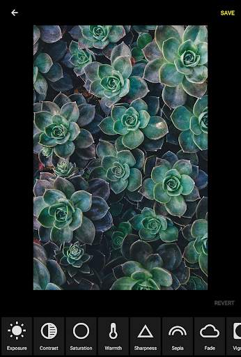 Grafo Photo Studio screenshot 6