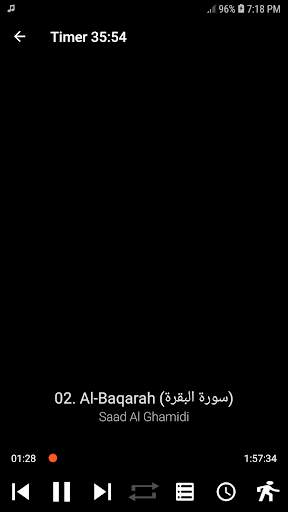 Saad Al Ghamidi Full Quran Offline MP3 2020 screenshot 5