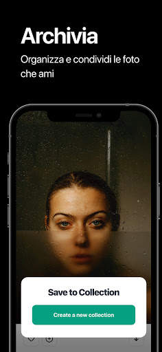 Pexels screenshot 5