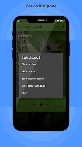 Squirrel Sounds screenshot 2