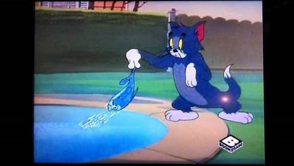 The Tom Cat and Jerry Video screenshot 2
