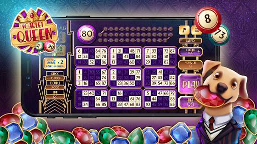 Bingo Rex screenshot 4