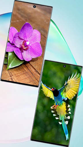 Mi A2 - A3 Lite Wallpaper screenshot 8