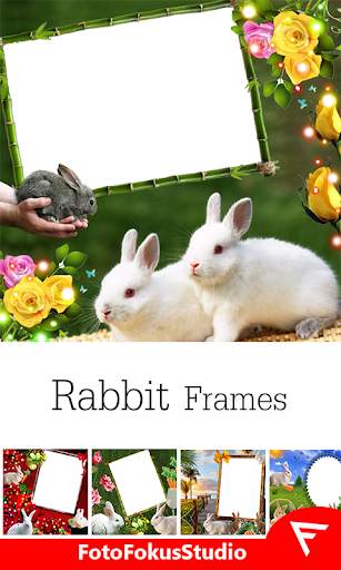 Rabbit Insta DP : Wild Insta DP 1 تصوير الشاشة