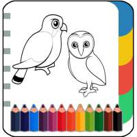Birds Coloring & Drawing Book-