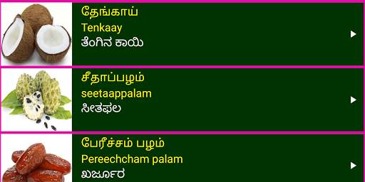 Learn Tamil From Kannada screenshot 13