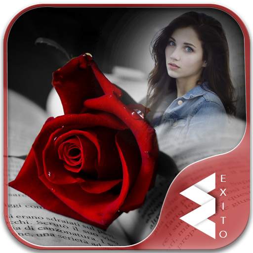 Red Rose Photo Frames 1.17