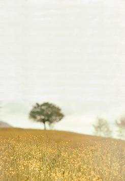 Change Background of Photo screenshot 1