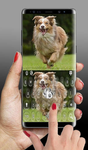 Shepherd Dog Keyboard screenshot 12
