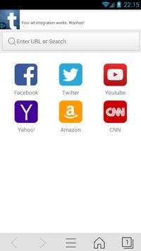 Web Browser screenshot 1