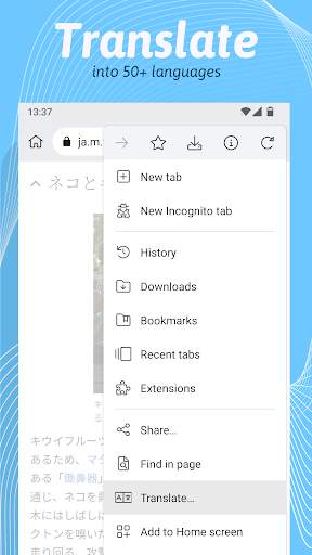 Kiwi Browser - Navigateur screenshot 4