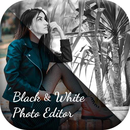 Black and White Photo Effect 1.0